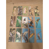Lote Com 15 Figurinhas