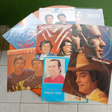 Lote Com 50 Discos De Vinil Sertanejos Diversos Raridade