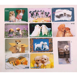 Cães