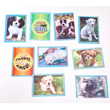 Lote Figurinhas Do Album