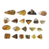 Lote Pedra Cristal Dendrita