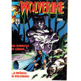 Lote Wolverine N° 21