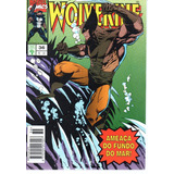 Lote Wolverine N° 31
