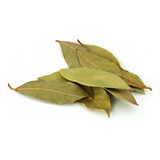 Louro Em Folhas Desidratado 100g Natural Safra Nova Premium