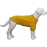 Lovelonglong Moletom Para Cachorro Para Clima Frio Outono E Inverno Camisetas Para Cães Pequenos Médios E Grandes Gengibre M