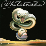 Lp Disco De Vinil Revista Whitesnake Trouble Lacrado Impor