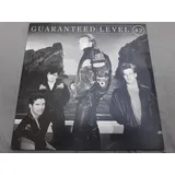 Lp Disco Vinil Level