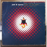 Vinil