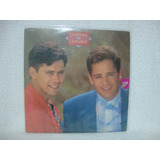Vinil