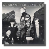 Lp Level 42 - Guaranteed - 1991 Disco De Vinil - Hip2mil