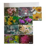 Lt 581 9 Cartões Telefônicos Série Orquídeas E Flores Cer
