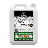 LT Shine Fixador Profissional De Pedras Soltas 5L Proteção Duradoura E Acabamento Sofisticado