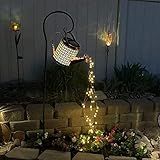 Jardim