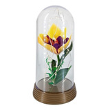 Luminaria Flor Do Filme