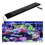 Luminaria Full uv High