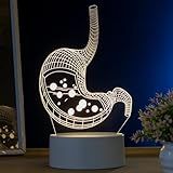 Luminária Led 3d Abajur De Mesa Estômago órgãos