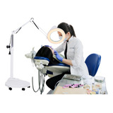 Luminaria Lupa 120 Leds 5x Limpeza Pele Depilacao Tripe Roda Cor Da Cúpula Branco Cor Da Estrutura Branco