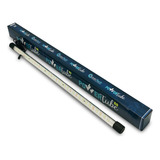 Bivolt