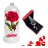 Luminária Rosa Eterna + Colar Feminino Presente Para Namorad