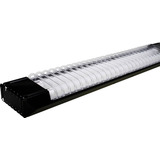 Taschibra