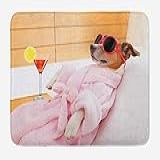 Lunarable Tapete De Banho Engraçado Cachorro Jack Russel Relaxando No Centro De Bem Estar E Bebendo Seu Martini Coquetel Preguiçoso Tapete De Decoração De Banheiro De Pelúcia Com Suporte Antiderrapante 76 7 Cm X 50 8 Cm Multicolorido