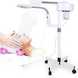 Lupa Articulada Vaporizador De Ozonio Luminária Estética Led