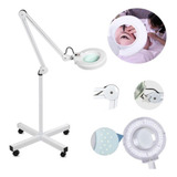 Lupa Estetica Luminaria Com