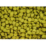Lúpulo Hallertau Northerm Brewer 100g Atmosfera Modificada