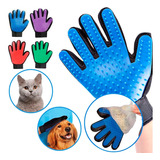 Gatos