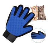 Gatos