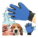 Touch