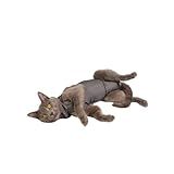 LUVY PET- Roupa Gato Pós Cirúrgica Castração Grafite Tamanho-3
