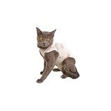 LUVY PET- Roupa Gato Pós Cirúrgica Castração Urso Tamanho-3