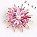 Luxo Maxxi Broche Cristais