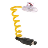 Wormlight