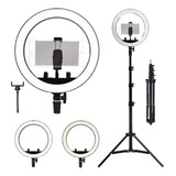 Luz Ring Light 10 Pol Led 3500 5500k Tripé Suporte Celular