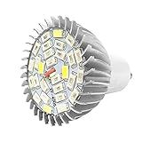 Luzes De Cultivo 28W Full Spectrum E14 GU10 Led Grow Light Lâmpada De Cultivo Para Planta De Flor 85V 265V GU10 