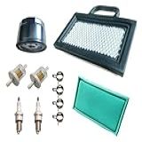 LXQTAO Filtro De Ar 698754 273638- Filtro De óleo 696854 E Filtro De Combustível 691035- Kit De Ativação De Vela De Ignição - Substituição Para Cortadores De Grama Intek Extended Life Series V-Twin