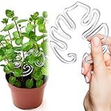Plantas