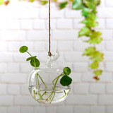 Maçã Forma Flor Vidro Vaso Musgo Micro Paisagem Garraf 76401