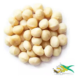 Macadamia Premium Com Sal