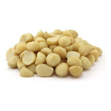 Macadamia Torrada Salgada 500g