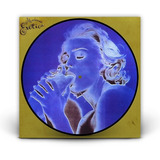 Madonna - Erotica Vinil Single Picture Disc - 30th Anniv Lp