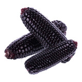 Maiz Morado Produto Peruano Milho Roxo 5kg