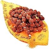 Mala Rudraksh Certificada Com Bolsa Japonesa Gaumukhi  Guirlanda De Rosário Rudraksha Original Natural Do Himalaia Original Do Himalaia Japa Mala  Colar Religioso Tibetano Rudraksha Mala  Pulseira De Colar De Meditação De Ioga  10mm  Rudraksha Japa Mala  Sem Pedra Preciosa
