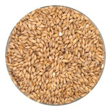 Malte Pilsen Agrária 5 Kilos Cerveja Artesanal