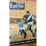 Raridade