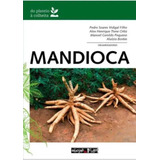 Mandioca Do Plantio A Colheita