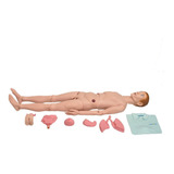 Maneq Bissex Adulto 1 70 C Órgãos P Treino Enferm Sd4000