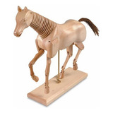 Manequim Animal Cavalo 